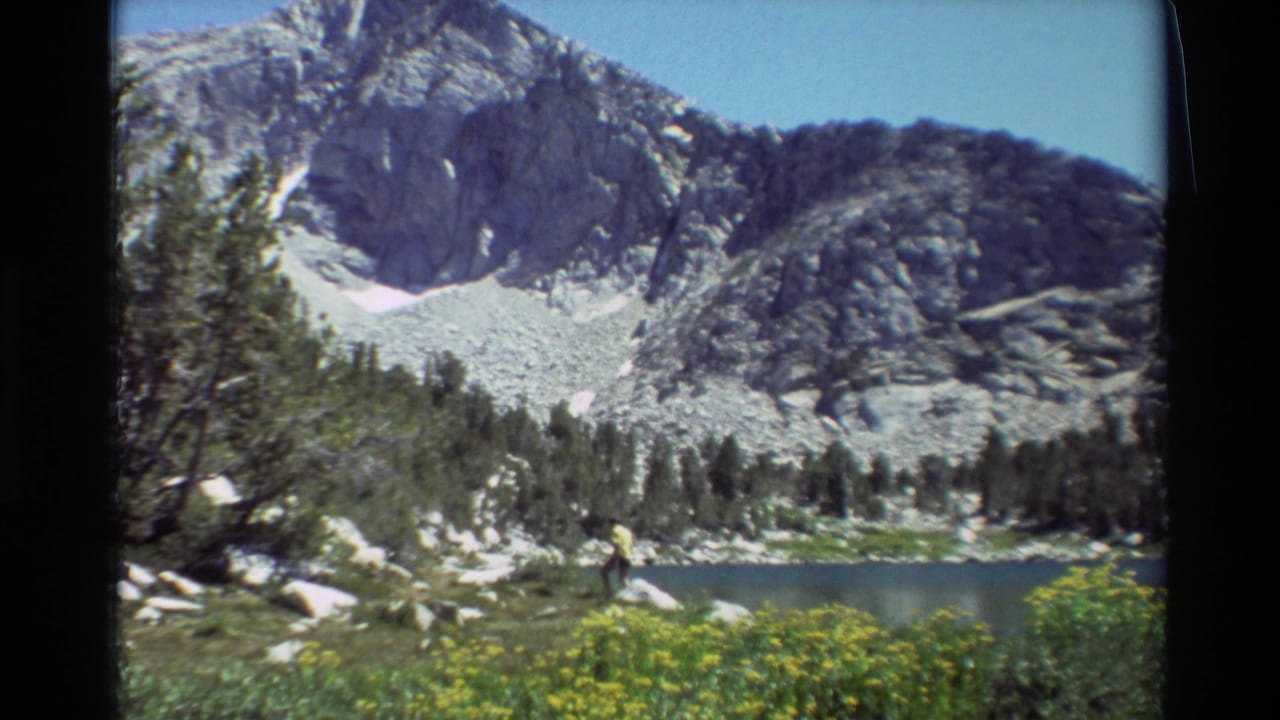 Distant hiker near an alpine lake with wildflowers, trees, and a rocky mountain behind.