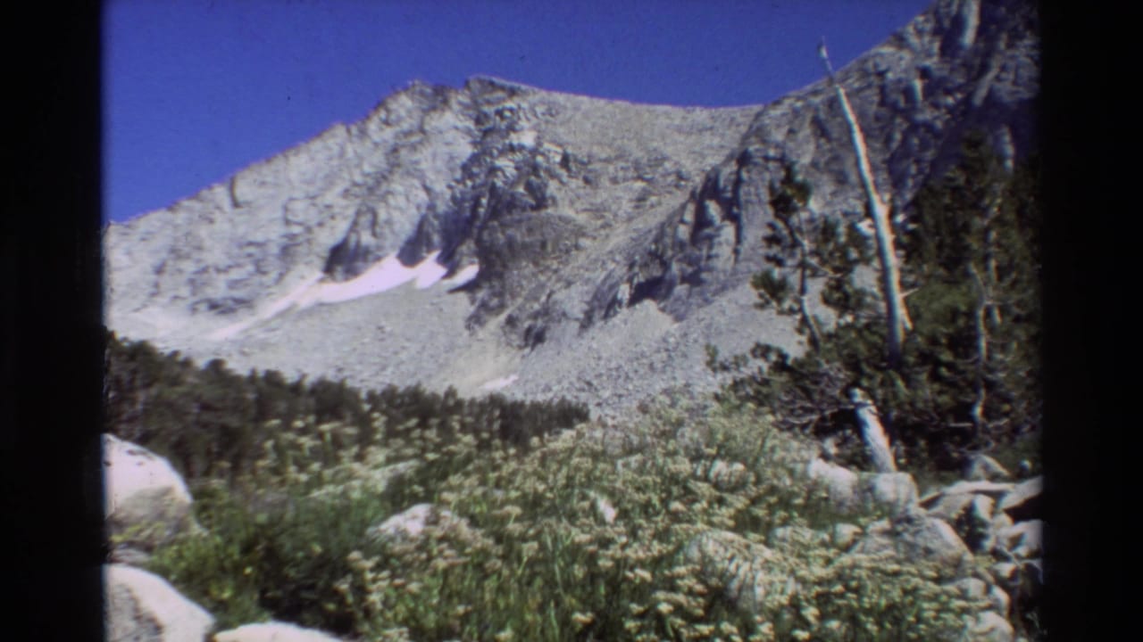 1981 8mm frame of a rugged mountain slope with snow patches, forest at the base, and meadow vegetation in the foreground.