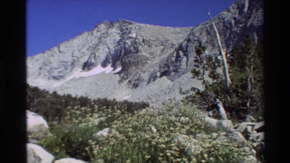 1981 8mm frame of a rugged mountain slope with snow patches, forest at the base, and meadow vegetation in the foreground.