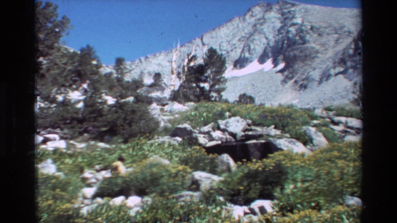1981 8mm frame of an alpine mountain scene listed as British Columbia/USA, with rocky slopes, evergreens, boulders, and meadow flowers.