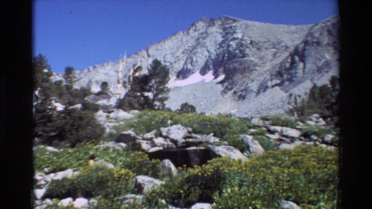 Vintage 8mm mountain view from the listed 1981 British Columbia/USA clip, showing wildflowers, boulders, conifers, and a gray rocky peak.