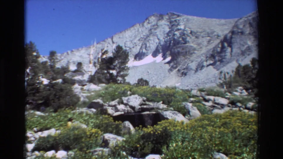 Vintage 8mm mountain view from the listed 1981 British Columbia/USA clip, showing wildflowers, boulders, conifers, and a gray rocky peak.