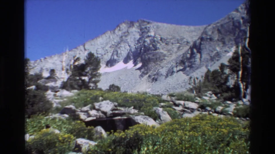 1981 home-movie frame of a rocky alpine landscape, with evergreens and yellow-flowered meadow growth below the mountain slope.