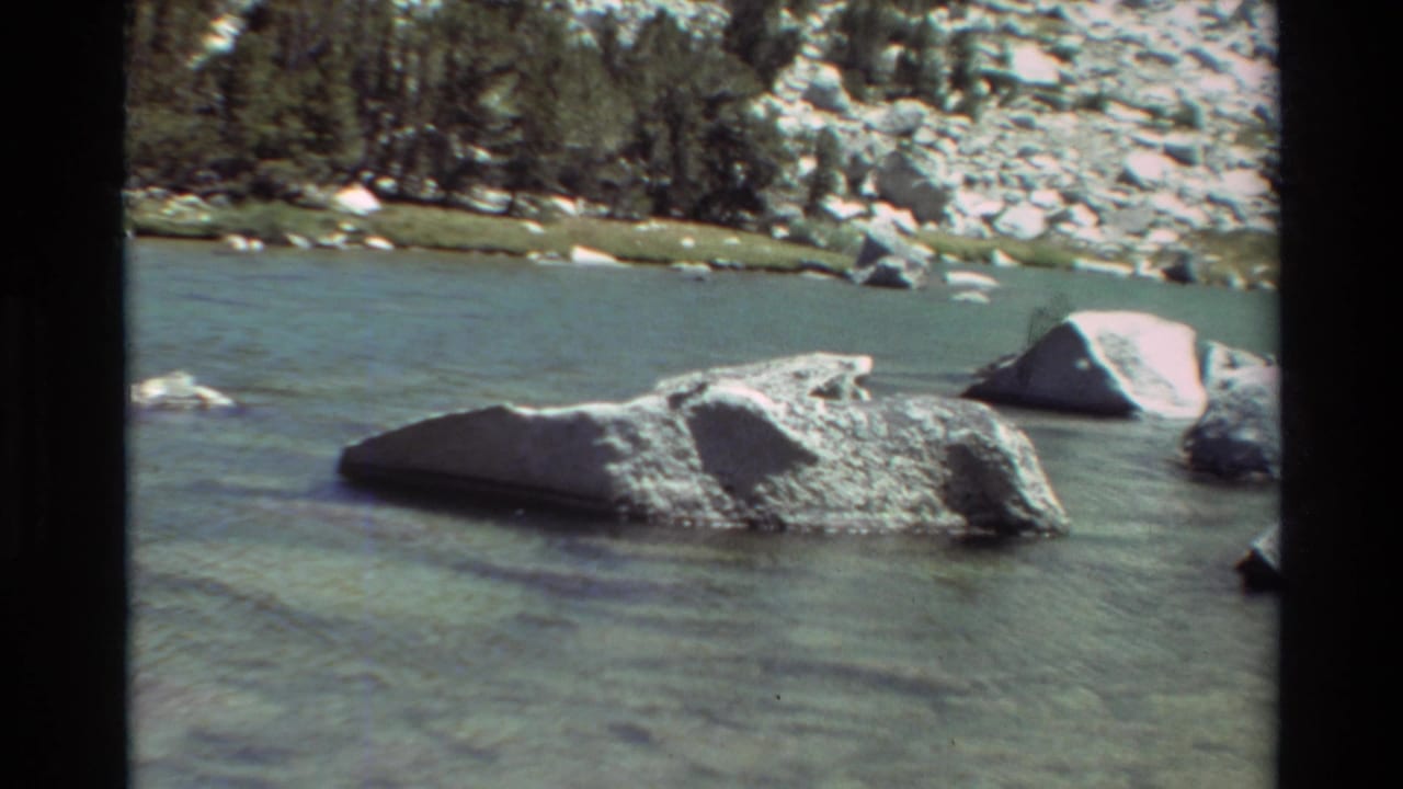 A broad rock lies in shallow lake water with stones and trees along the far shore.