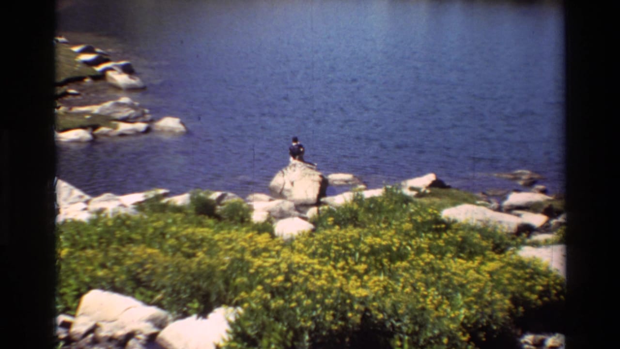 A person sits on a large rock beside blue lake water and yellow flowers.