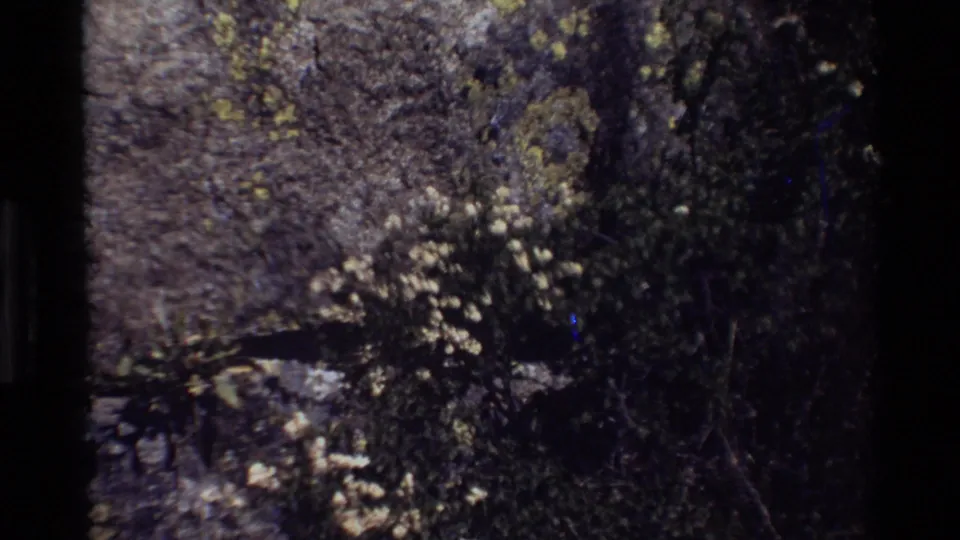 A shadowed close view shows moss, tiny flowers, and rough stone texture in grainy 8mm nature footage.