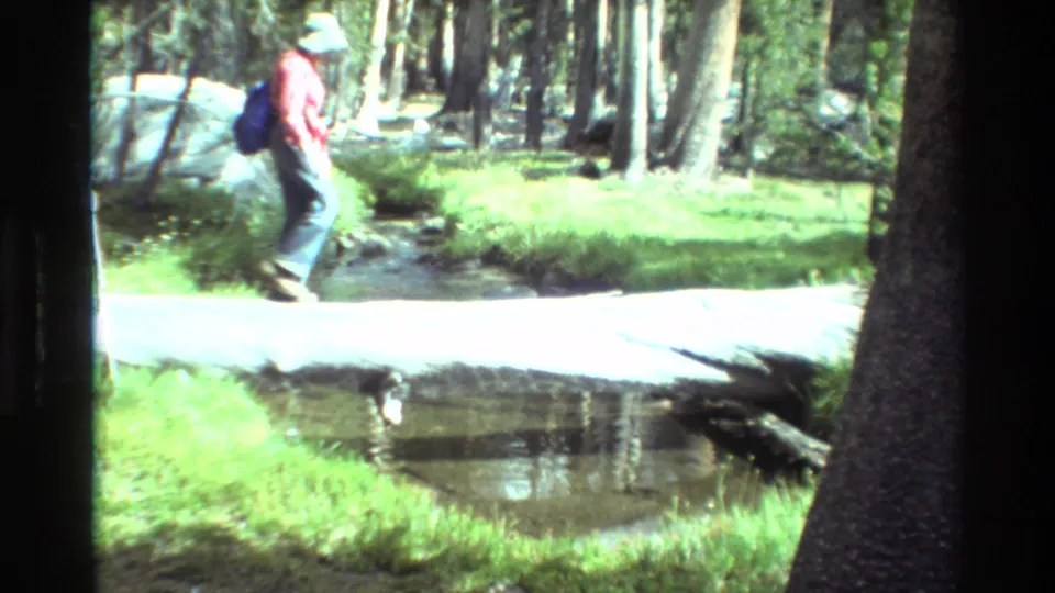 A distant hiker in a red shirt, jeans, backpack, and hat crosses a fallen-log bridge over a stream in forest footage listed as 1981 British Columbia.