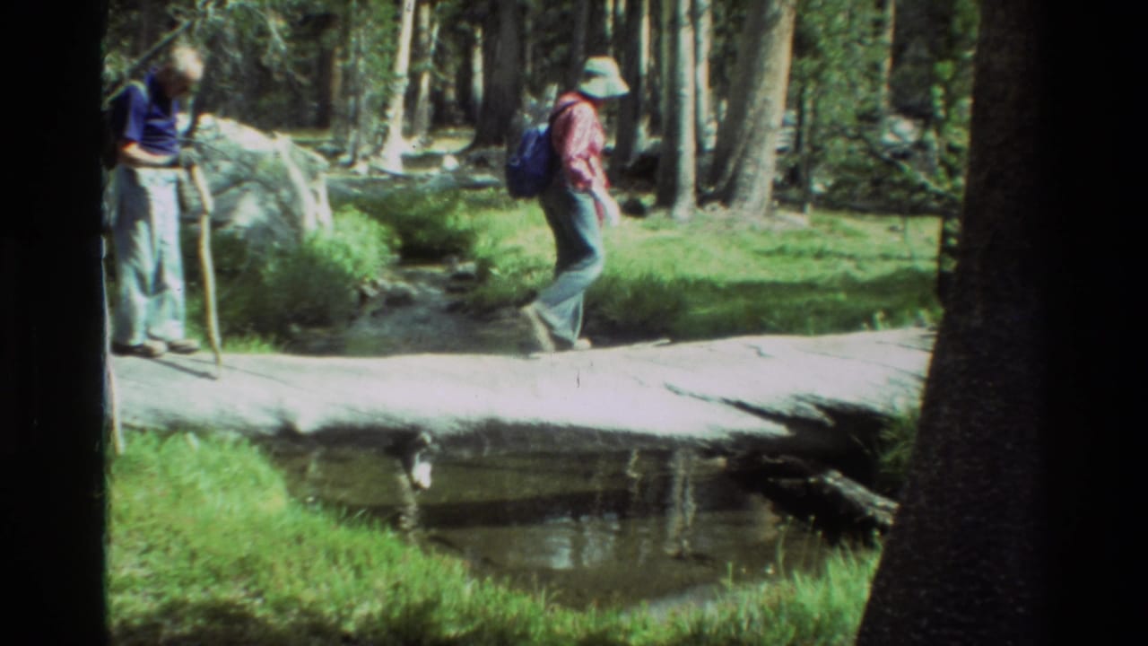 Two hikers stand near a log crossing, one using a walking stick by the stream.