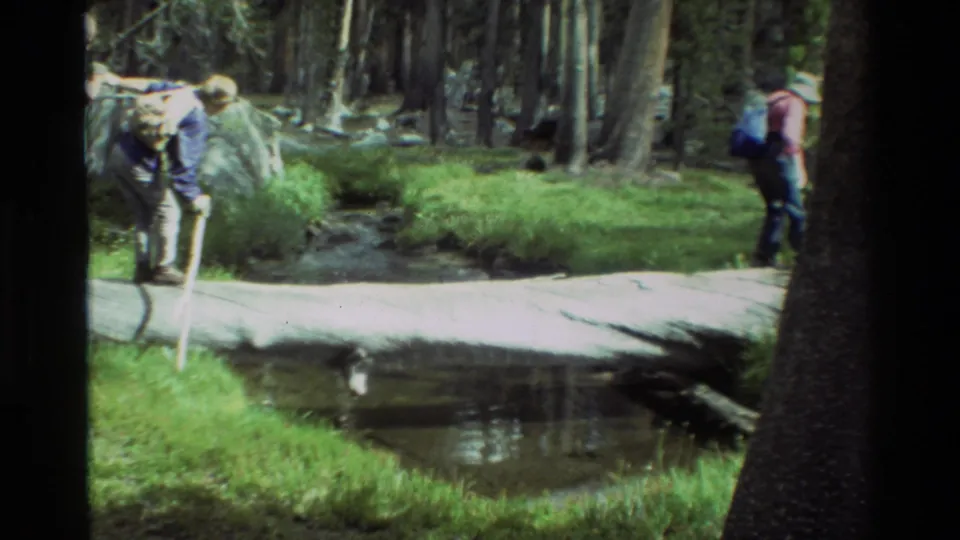 1981 8mm frame of hikers around a fallen log crossing, with a walking stick, grass, water, and trees visible.