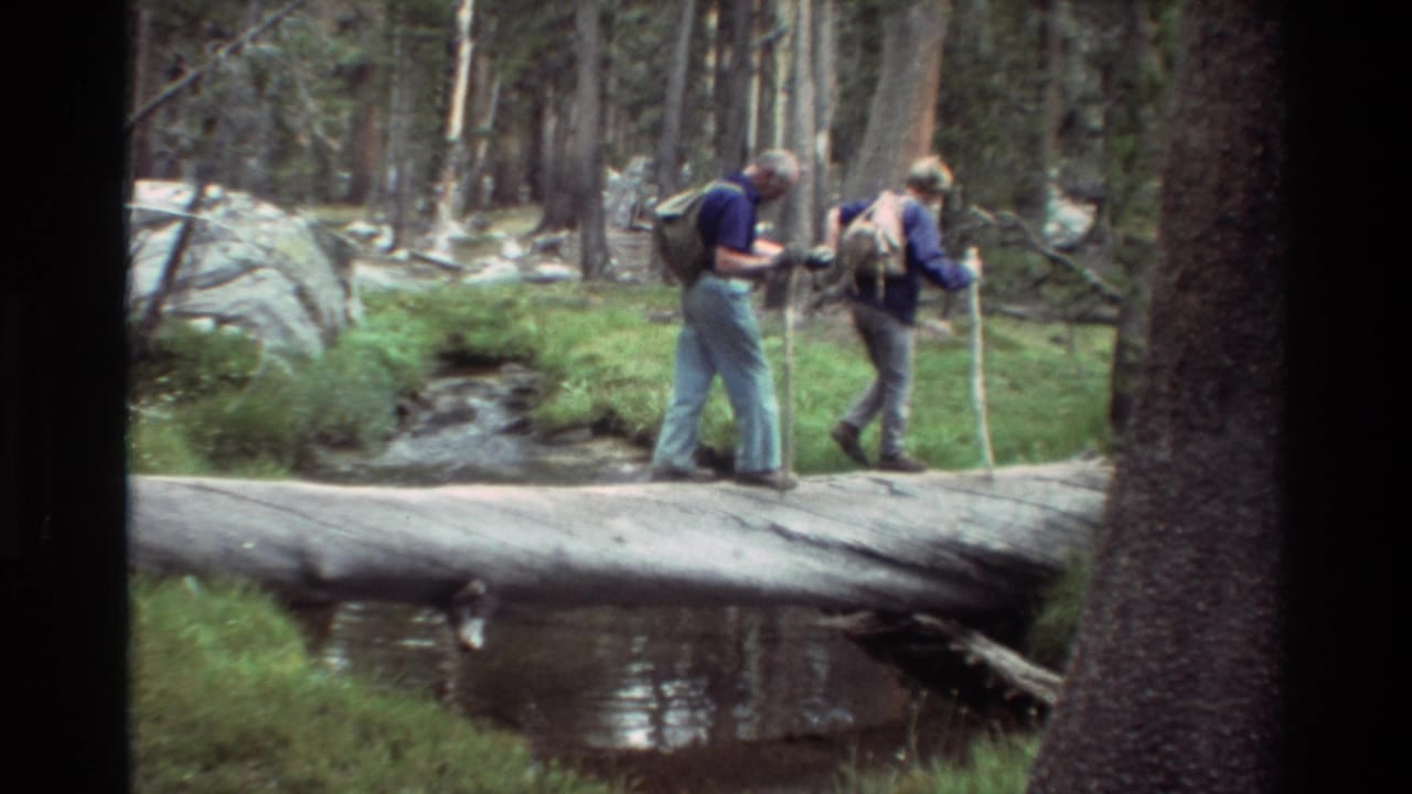 Two adult hikers with backpacks carefully cross a fallen log over water in a dense pine forest, from 1981 8mm home-movie footage.