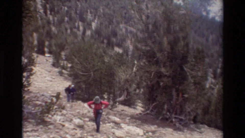 Two hikers move uphill on a rocky, open trail bordered by scrubby mountain trees in 1981 8mm home-movie footage.