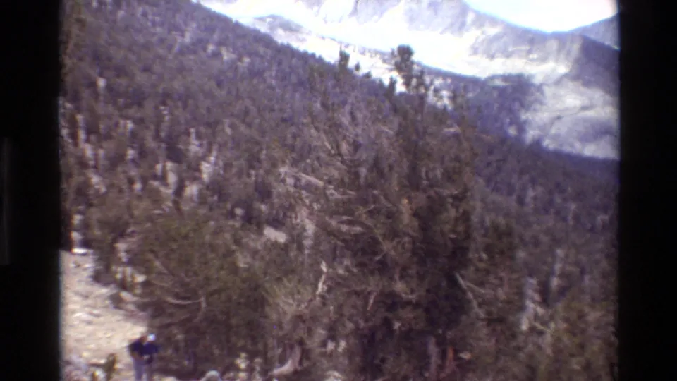 A wide handheld view shows hikers low on a mountain trail, dense trees on the slope, and snow-capped peaks in the distance.
