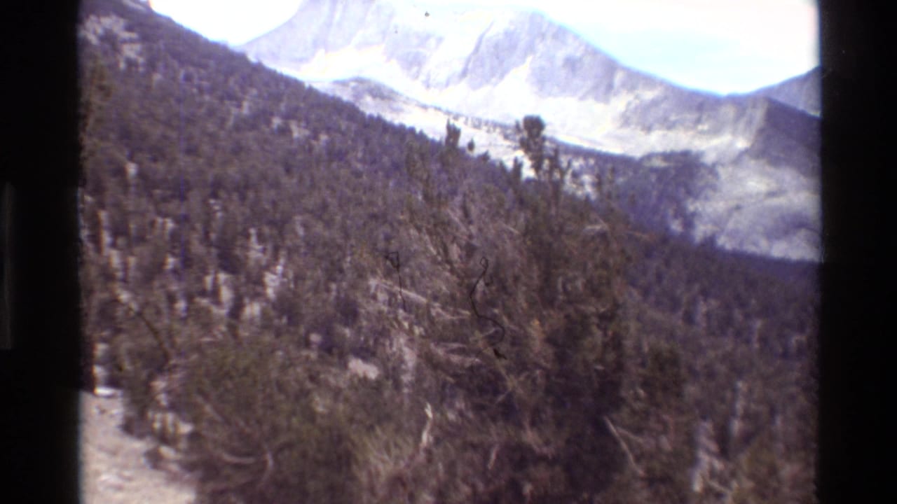 1981 8mm home-movie frame of evergreen-covered high terrain with distant pale mountain peaks and visible gate edges.