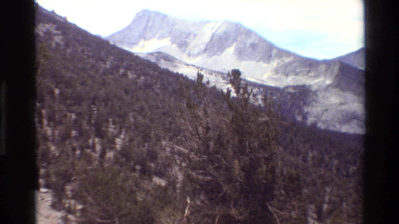 Vintage 8mm mountain view showing dense trees on a slope and a pale ridge in the distance, with home-movie frame edges visible.