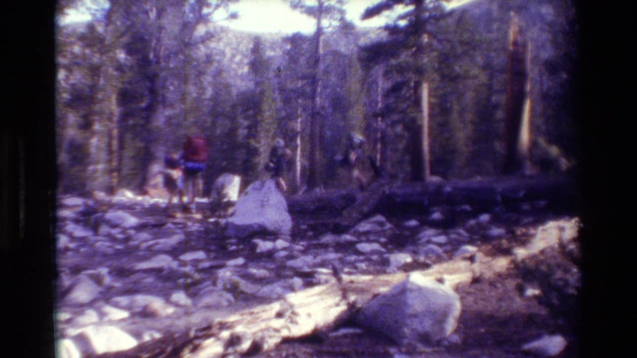 1981 8mm home-movie frame of backpackers moving through a rocky forest trail with tall evergreens and fallen wood.