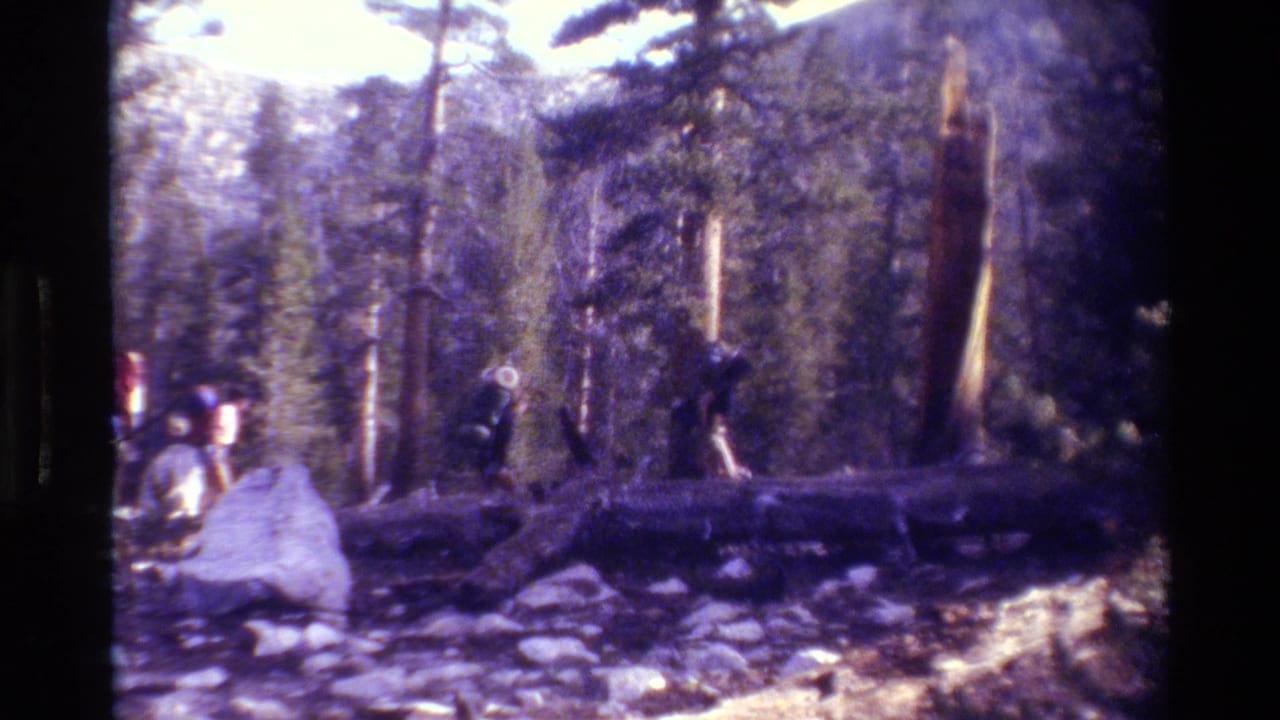 Backpackers in a forested British Columbia setting appear near boulders, uneven rocks, and a fallen log in a soft 8mm frame.