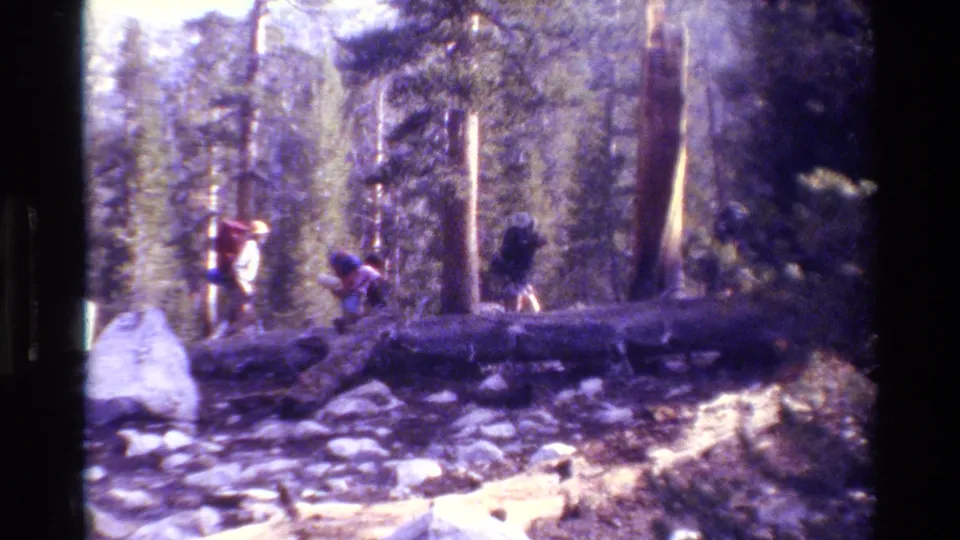 1981 home-movie frame of backpackers moving uphill behind a fallen log, surrounded by rocks and tall evergreen trees.