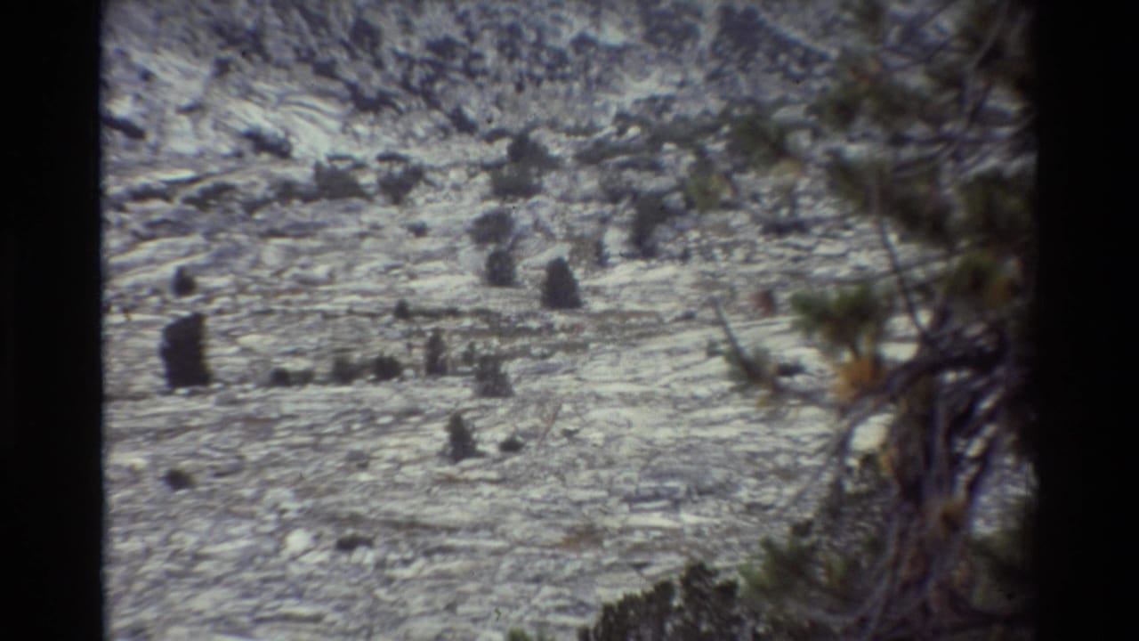 Rocky mountainside with sparse trees and dark film borders.