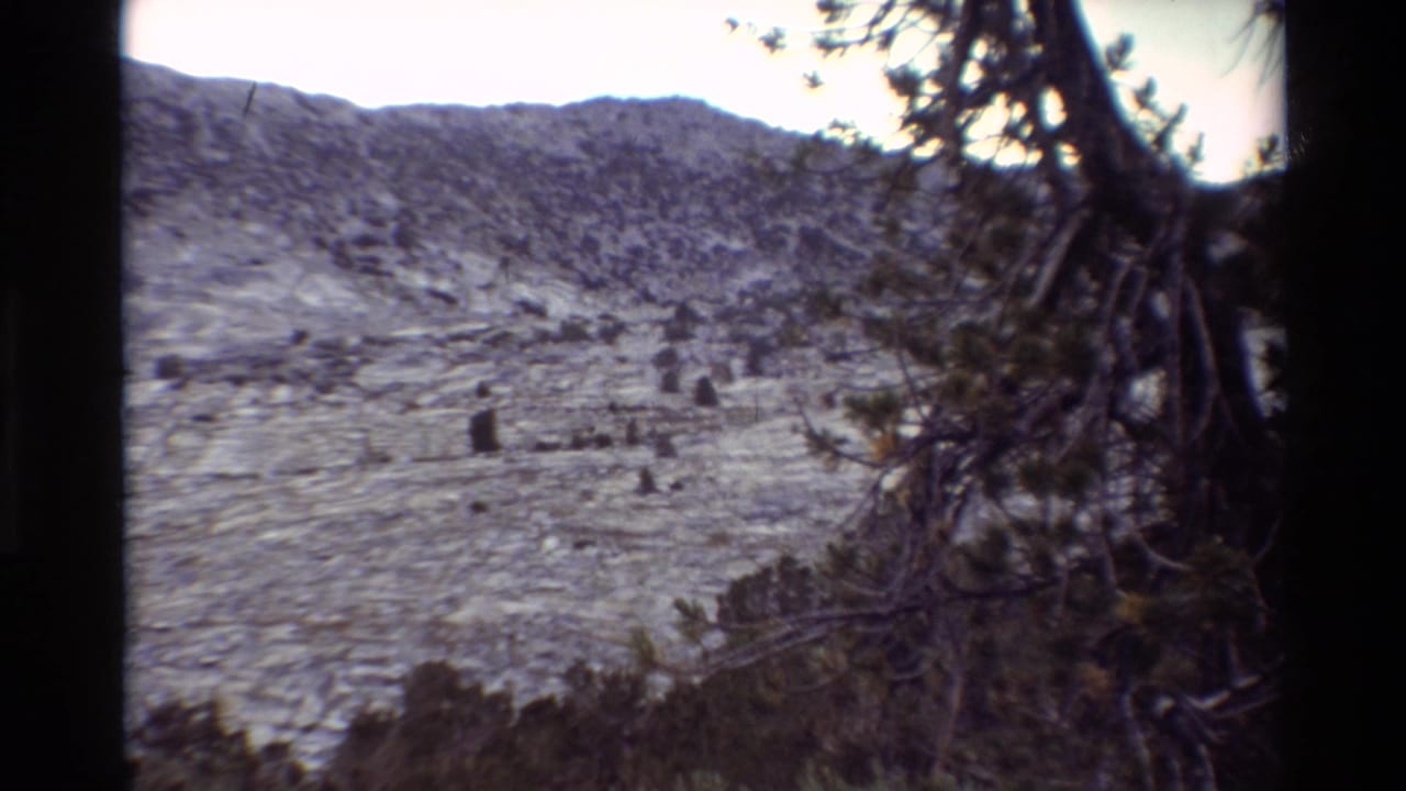 Rugged hillside and ridge line viewed through dark evergreen branches in the supplied 1981 home-movie footage.