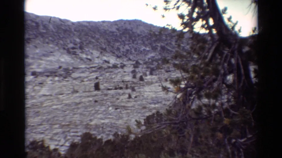 Rugged hillside and ridge line viewed through dark evergreen branches in the supplied 1981 home-movie footage.