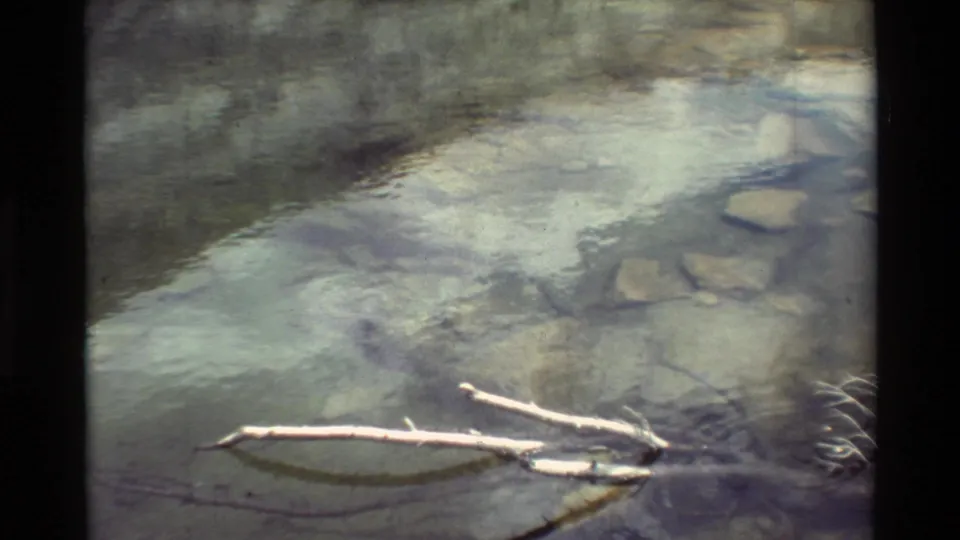 Close view of clear shallow water, pebbles, and a pale branch in the 1981 8mm outdoor home-movie clip.