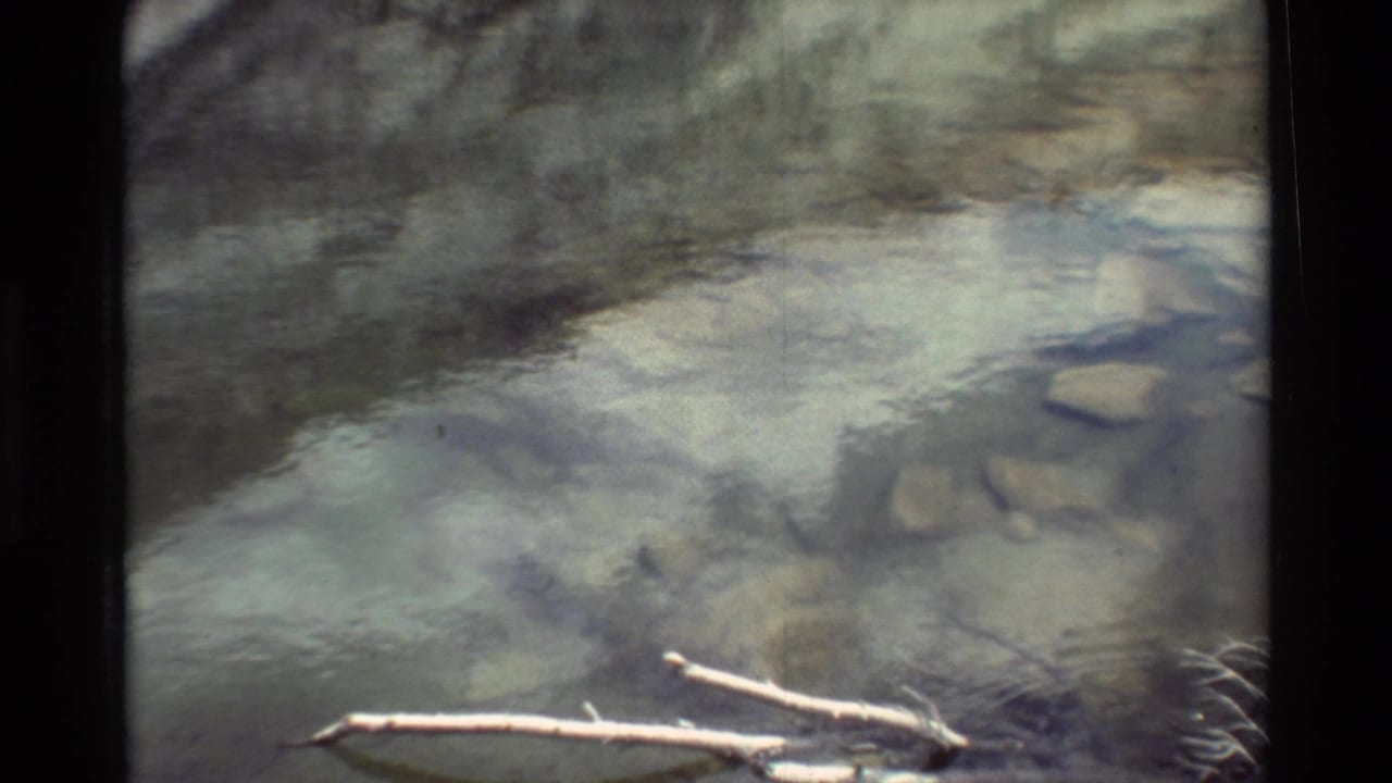 1981 8mm frame listed as British Columbia, showing shallow water, submerged stones, and a pale stick in a quiet natural setting.