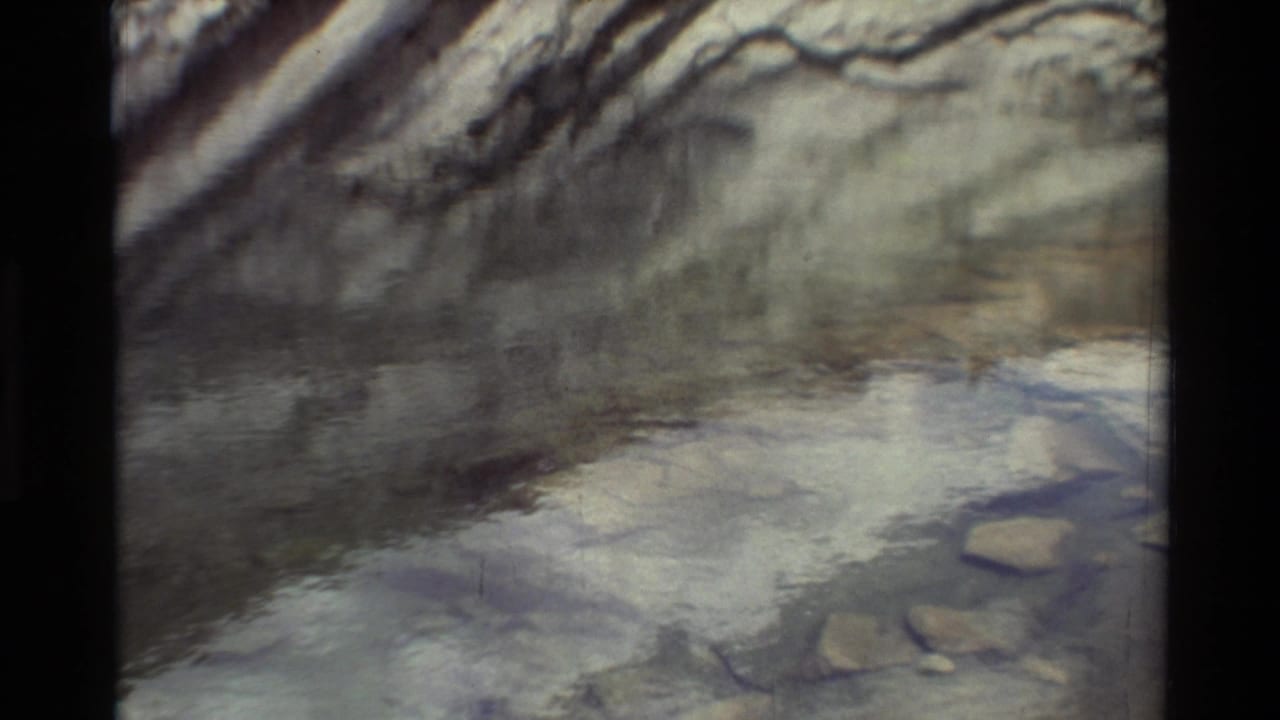 1981 8mm frame listed as British Columbia, with water reflections, bare branch shapes, and pale rock or stones visible through the surface.
