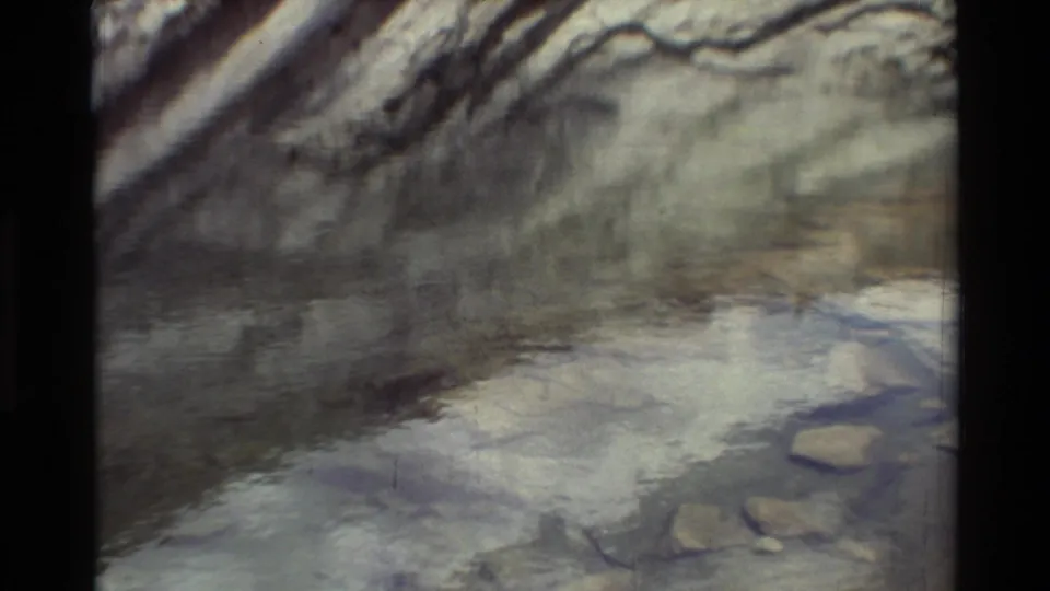 1981 8mm frame listed as British Columbia, with water reflections, bare branch shapes, and pale rock or stones visible through the surface.