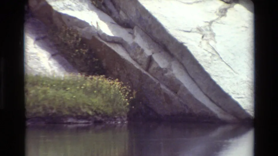 Close 1981 home-movie view of grass and yellow flowers beside a pale rock outcrop above reflective water.