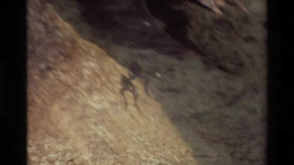 The final frame shows the frog near a rocky or earthy water edge, with clear shallow water, debris, and warm faded 8mm color.