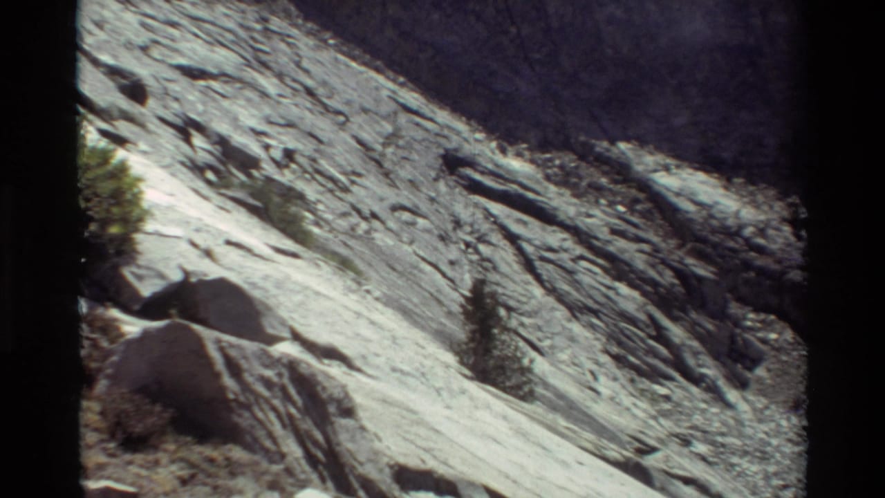 1981 8mm frame of a bright rocky mountain slope, loose stone, sparse vegetation, and a lone small conifer.