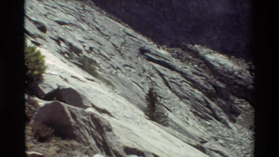 1981 8mm frame of a bright rocky mountain slope, loose stone, sparse vegetation, and a lone small conifer.
