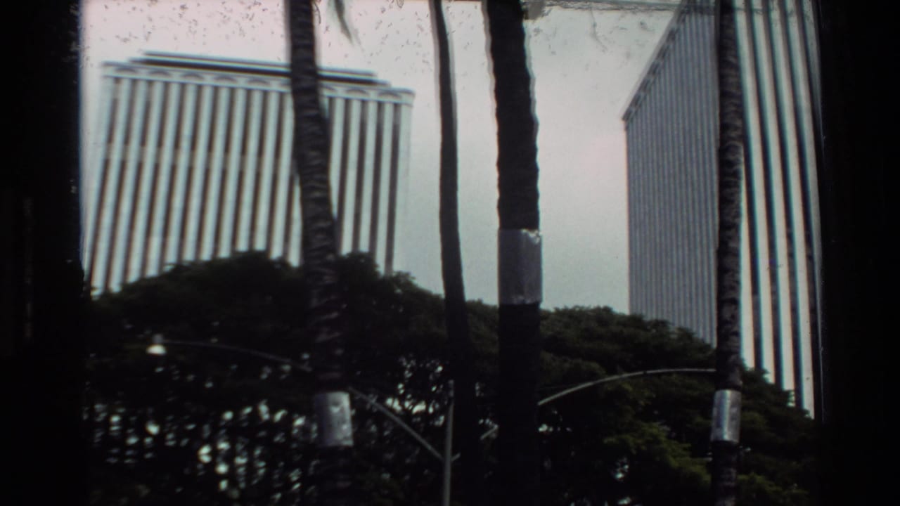 Palm-framed view of tall modern buildings in Hawaii, with strong 8mm contrast and soft focus.