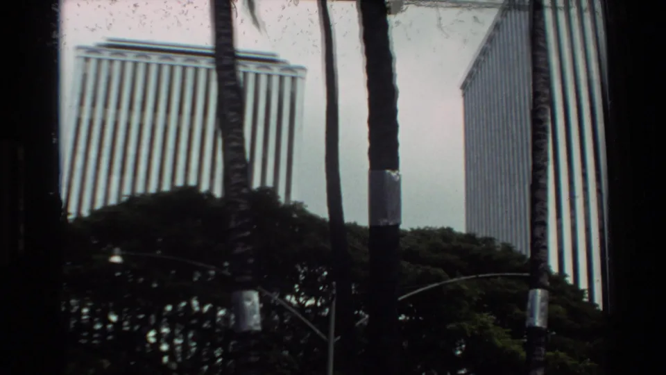 Palm-framed view of tall modern buildings in Hawaii, with strong 8mm contrast and soft focus.