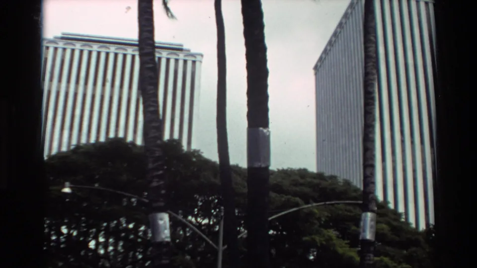 1981 Hawaii urban view with palm trunks, dense greenery, and vertical high-rise facades.