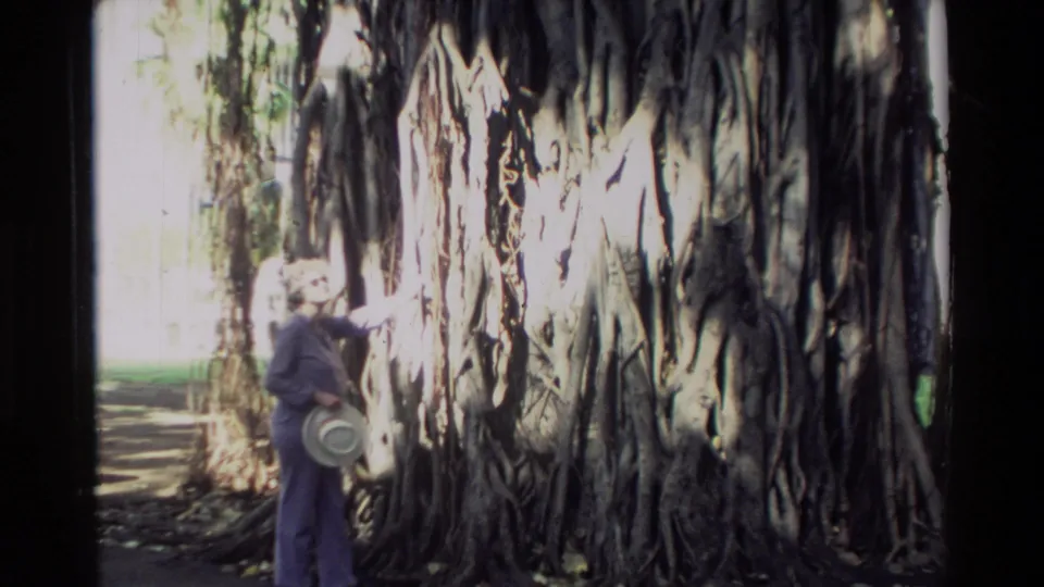 1981 Hawaii home-movie frame showing a woman with a hat beside a massive banyan tree and dense aerial roots.