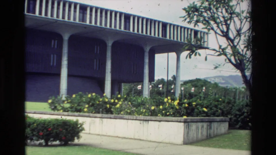 1981 Hawaii 8mm view of the building and garden, with yellow flowers, a low planter wall, lawn, tree branches, and distant hills.