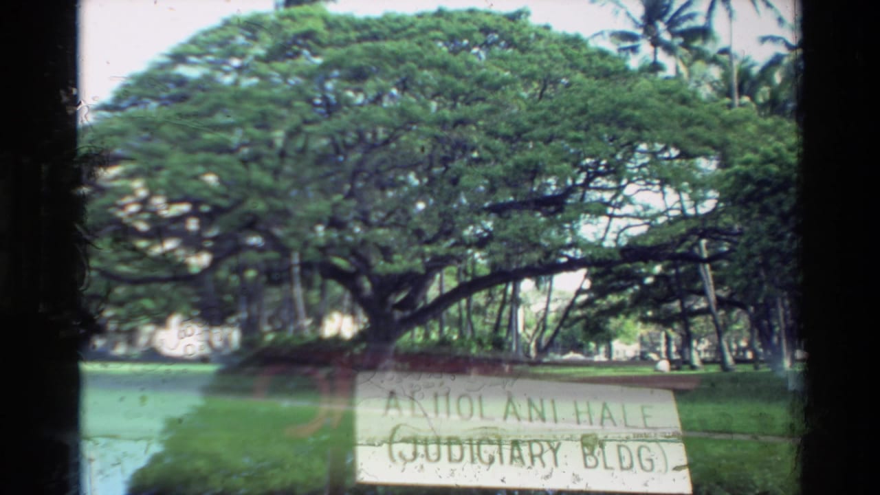 Banyan tree and lawn partly overlaid by an Aliiolani Hale marker sign.