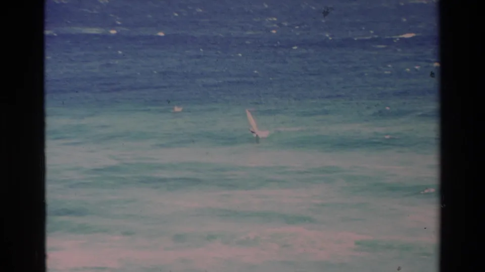 1981 Hawaii 8mm frame showing a small sail on the right side of a grainy blue-green ocean scene with low waves and foam.