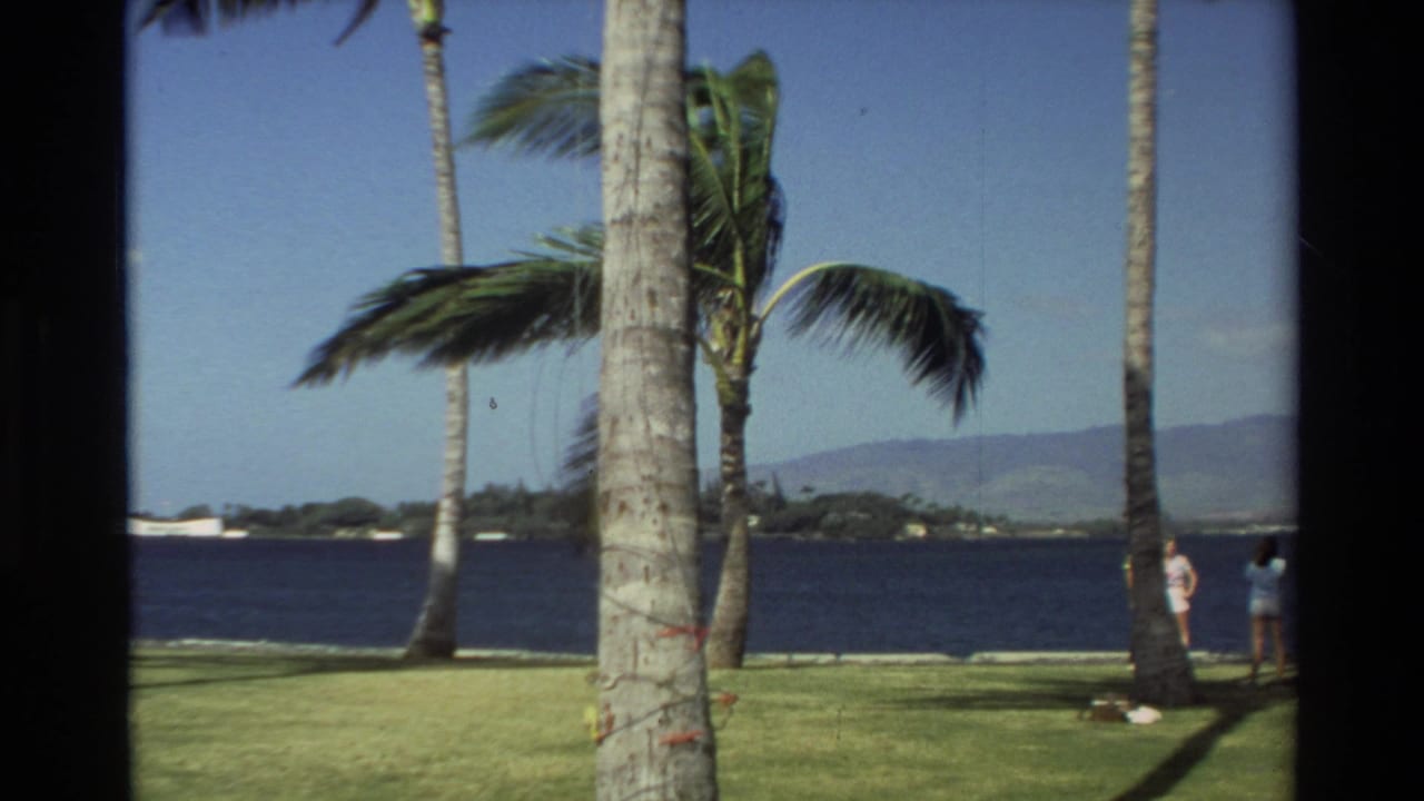 1981 Hawaii waterfront view with palm trees bending in wind, a grassy lawn, blue water, distant hills, and small figures at the edge.