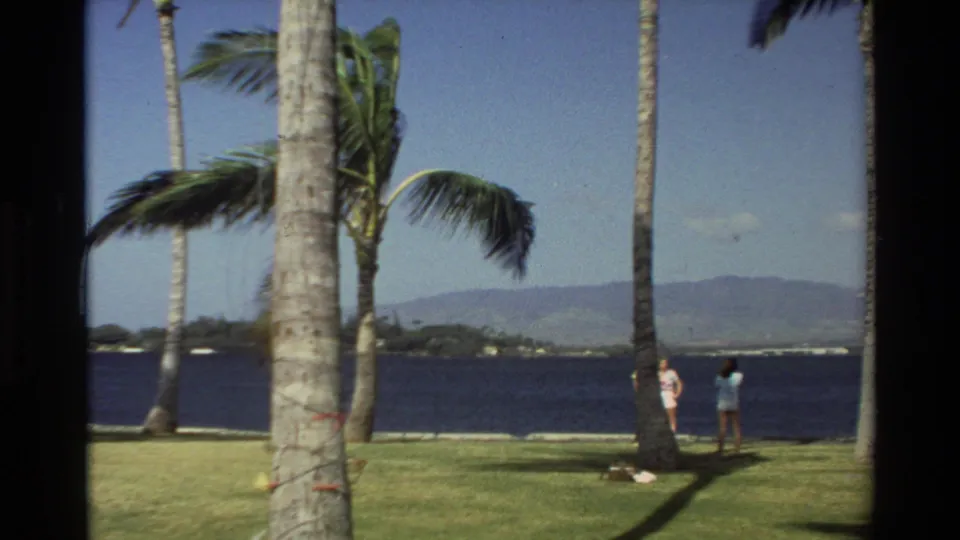 1981 Hawaii home-movie frame with two figures on a waterfront lawn, palm trunks in the foreground, blue water, and distant hills.