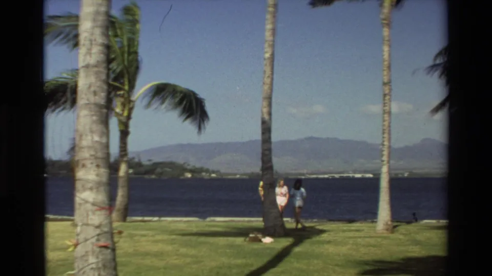 1981 Hawaii waterfront lawn scene with two people near palm trees, windblown fronds, blue water, and hazy hills in the distance.