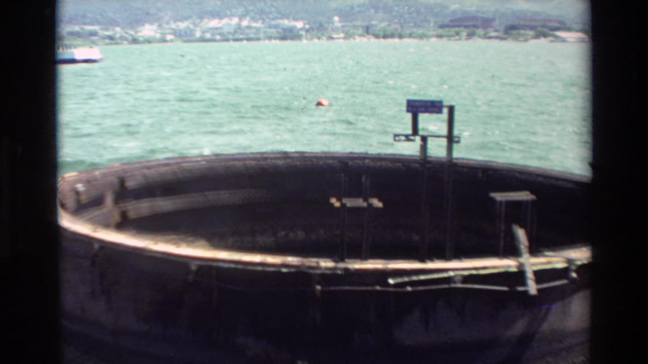 1981 Hawaii home-movie frame with a circular mooring platform in the foreground, green-blue water, and a hazy shoreline in the distance.