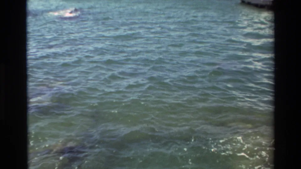 1981 Hawaii waterfront view across rippled blue-green water, with a small distant person or craft barely visible near the upper frame.