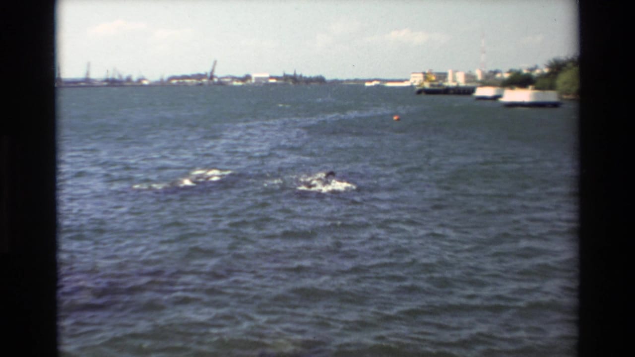 Choppy harbor water with distant docks and shoreline buildings under a bright sky.