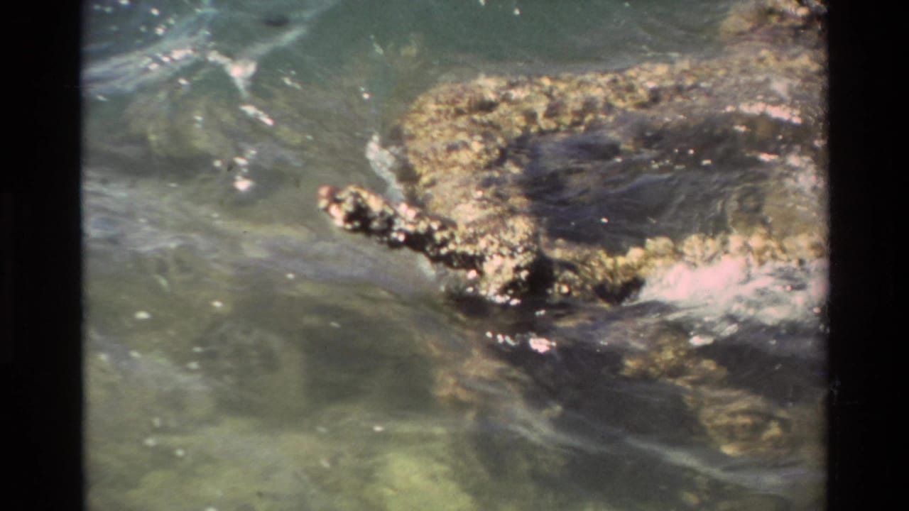 1981 Hawaii 8mm frame with waves hitting a rough submerged edge, creating small white splashes and ripples.