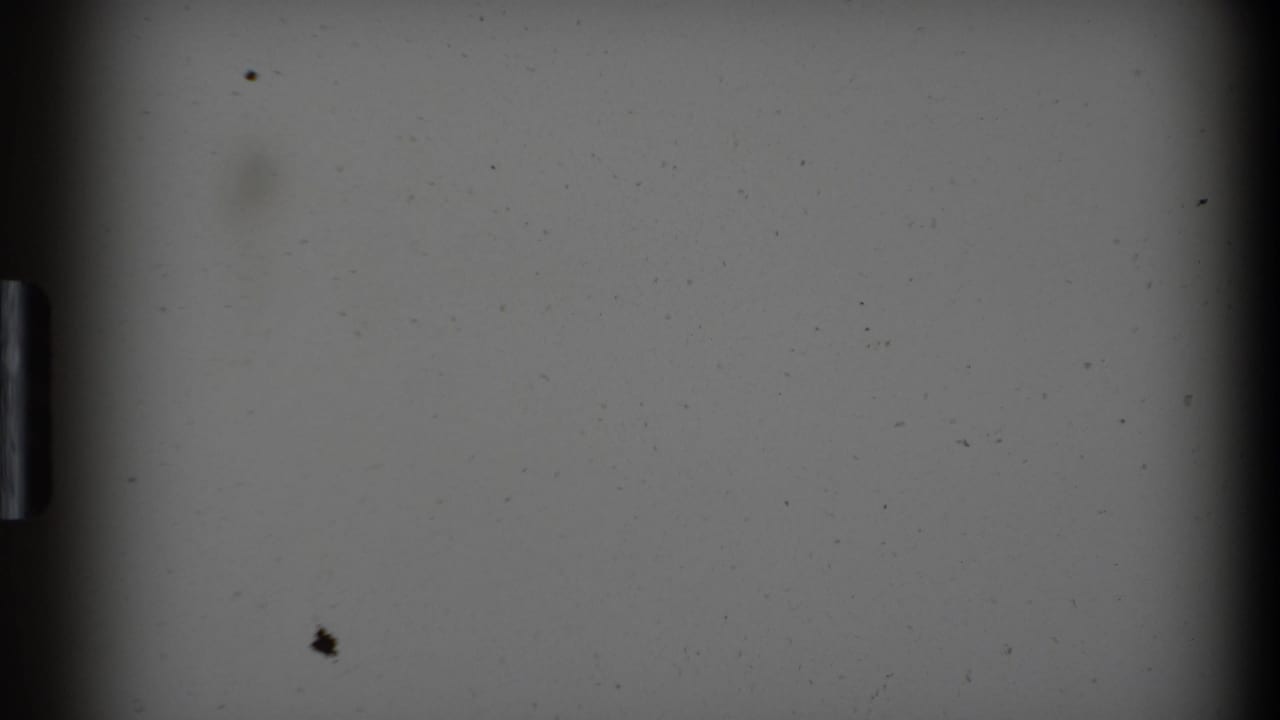 Dark film-frame edges and a mostly blank gray exposure with dust marks.