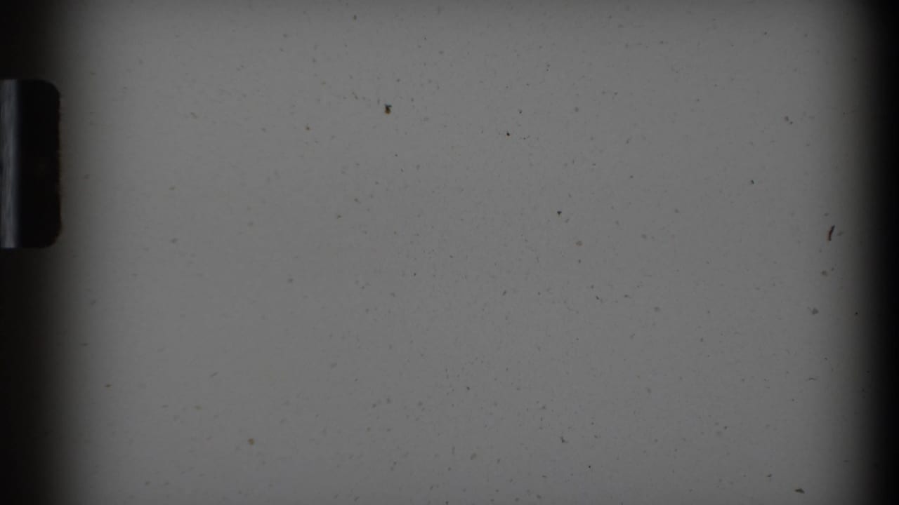 Mostly blank gray film frame with dark borders and small dust marks.