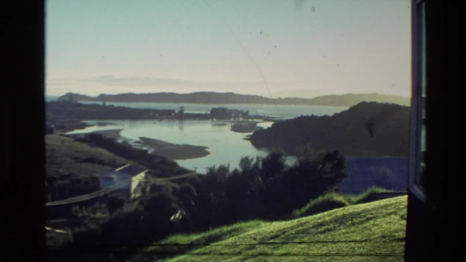 1981 New Zealand archival frame with a wide coastal inlet, distant houses, dark foreground shrubs, and a sloping green hillside.