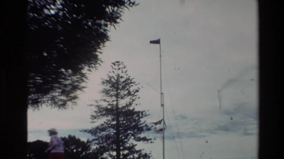 1981 New Zealand home-movie frame showing a flagpole, tall conifer-like tree, partial walker, and cloudy sky from a hillside vantage.